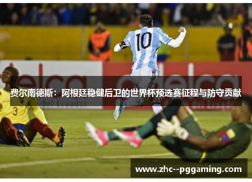 费尔南德斯：阿根廷稳健后卫的世界杯预选赛征程与防守贡献